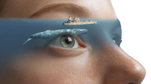 Whale With Ship Vinyl Car Decal Sticker – Waterproof & UV-Resistant 8"