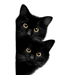 Black Cats Peeking Vinyl Car Decal Sticker – Waterproof & UV-Resistant 8" Black Cats Peeking Vinyl Car Decal Sticker – Waterproof & UV-Resistant 8"
