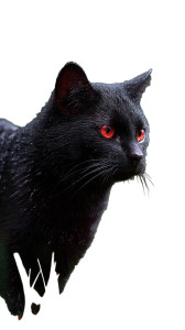 Black Cat V4 Vinyl Car Decal Sticker – Waterproof & UV-Resistant 8"