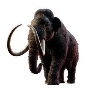 Mammoth 3D Vinyl Car Decal Sticker – Waterproof & UV-Resistant 8"