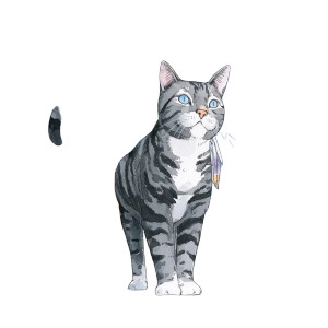 Angel Winged Tabby Vinyl Car Decal Sticker – Waterproof & UV-Resistant 8"
