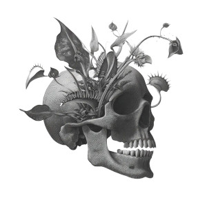 Venus Flytrap Skull Vinyl Car Decal Sticker – Waterproof & UV-Resistant 8"