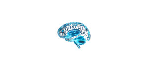 Holographic Brain Display V2 Vinyl Car Decal Sticker – Waterproof & UV-Resistant 8" Holographic Brain Display V2 Vinyl Car Decal Sticker – Waterproof & UV-Resistant 8"