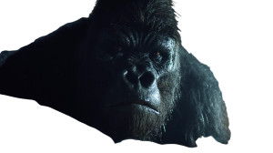 Gorilla In Bedroom Vinyl Car Decal Sticker – Waterproof & UV-Resistant 8" Gorilla In Bedroom Vinyl Car Decal Sticker – Waterproof & UV-Resistant 8"