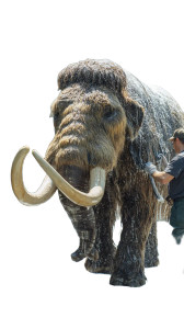 Washed Woolly Mammoth Vinyl Car Decal Sticker – Waterproof & UV-Resistant 8"