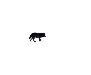 Lone Wolf Dusk Vinyl Car Decal Sticker – Waterproof & UV-Resistant 8" Lone Wolf Dusk Vinyl Car Decal Sticker – Waterproof & UV-Resistant 8"