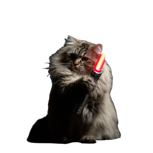 Siberian Cat Saber Vinyl Car Decal Sticker – Waterproof & UV-Resistant 8"