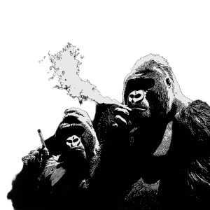 Smoking Gorillas Vinyl Car Decal Sticker – Waterproof & UV-Resistant 8"