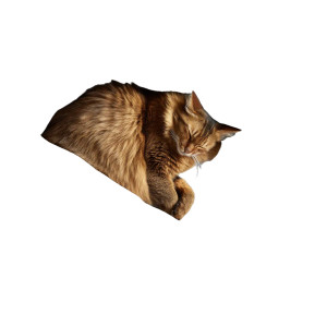 Sleeping Cat V3 Vinyl Car Decal Sticker – Waterproof & UV-Resistant 8"