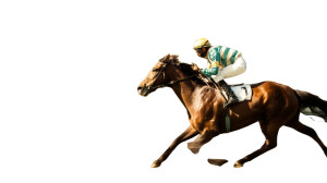 Skilled Jockey Racing Vinyl Car Decal Sticker – Waterproof & UV-Resistant 8"