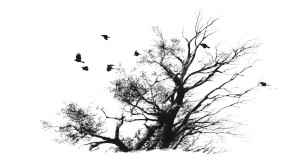 Barren Tree Silhouette Vinyl Car Decal Sticker – Waterproof & UV-Resistant 8" Barren Tree Silhouette Vinyl Car Decal Sticker – Waterproof & UV-Resistant 8"