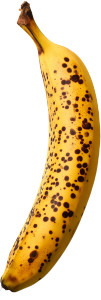 Ripe Banana Vinyl Car Decal Sticker – Waterproof & UV-Resistant 8" Ripe Banana Vinyl Car Decal Sticker – Waterproof & UV-Resistant 8"