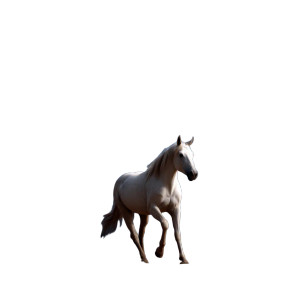 Majestic White Horse V3 Vinyl Car Decal Sticker – Waterproof & UV-Resistant 8" Majestic White Horse V3 Vinyl Car Decal Sticker – Waterproof & UV-Resistant 8"
