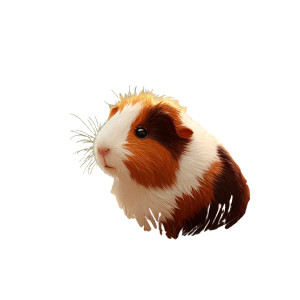 Guinea Pig Vinyl Car Decal Sticker – Waterproof & UV-Resistant 8" Guinea Pig Vinyl Car Decal Sticker – Waterproof & UV-Resistant 8"