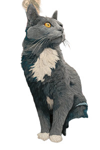 Whimsical Gray Cat Vinyl Car Decal Sticker – Waterproof & UV-Resistant 8" Whimsical Gray Cat Vinyl Car Decal Sticker – Waterproof & UV-Resistant 8"