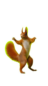 Dancing Squirrel Vinyl Car Decal Sticker – Waterproof & UV-Resistant 8"