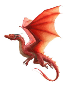 Beautiful Dragon V2 Vinyl Car Decal Sticker – Waterproof & UV-Resistant 8"