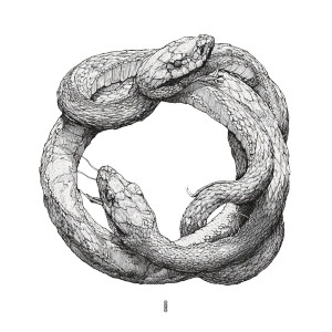 Intertwined Snakes Circle Vinyl Car Decal Sticker – Waterproof & UV-Resistant 8"