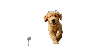 Joyful Running Puppy Vinyl Car Decal Sticker – Waterproof & UV-Resistant 8"