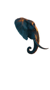 Elephant Wave Sunset Vinyl Car Decal Sticker – Waterproof & UV-Resistant 8"