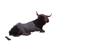 Majestic Cow Sunset Vinyl Car Decal Sticker – Waterproof & UV-Resistant 8"