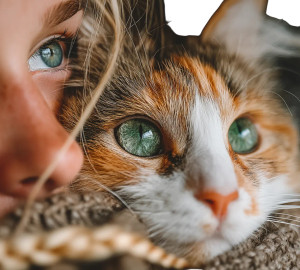 Person With Calico Cat Vinyl Car Decal Sticker – Waterproof & UV-Resistant 8" Person With Calico Cat Vinyl Car Decal Sticker – Waterproof & UV-Resistant 8"