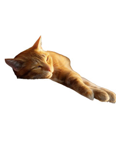 Ginger Cat Sunbathing Vinyl Car Decal Sticker – Waterproof & UV-Resistant 8"