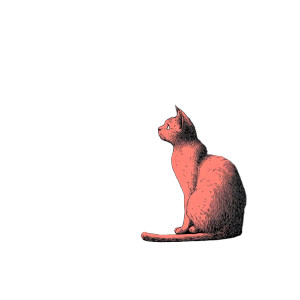 Cat V42 Vinyl Car Decal Sticker – Waterproof & UV-Resistant 8"