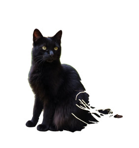 Black Cat Sitting Vinyl Car Decal Sticker – Waterproof & UV-Resistant 8"