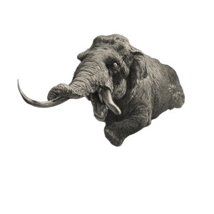 Angry Elephant Escape Vinyl Car Decal Sticker – Waterproof & UV-Resistant 8" Angry Elephant Escape Vinyl Car Decal Sticker – Waterproof & UV-Resistant 8"