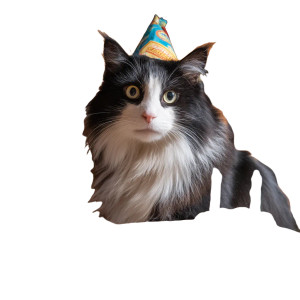 Birthday Cat Celebration Vinyl Car Decal Sticker – Waterproof & UV-Resistant 8" Birthday Cat Celebration Vinyl Car Decal Sticker – Waterproof & UV-Resistant 8"