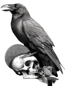 Metallic Crow Skull Vinyl Car Decal Sticker – Waterproof & UV-Resistant 8"