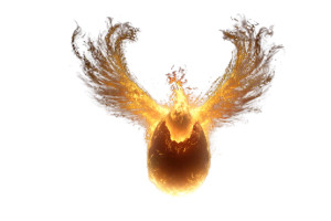 Phoenix Rebirth V2 Vinyl Car Decal Sticker – Waterproof & UV-Resistant 8"