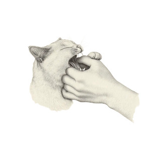 Cat Biting Hand Vinyl Car Decal Sticker – Waterproof & UV-Resistant 8"