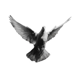 Holy Spirit Dove V2 Vinyl Car Decal Sticker – Waterproof & UV-Resistant 8"