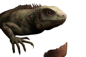 Iguana Cake Vinyl Car Decal Sticker – Waterproof & UV-Resistant 8"