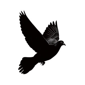 Flying Dove Silhouette Vinyl Car Decal Sticker – Waterproof & UV-Resistant 8" Flying Dove Silhouette Vinyl Car Decal Sticker – Waterproof & UV-Resistant 8"