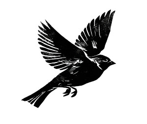 Aggressive Sparrow Logo Vinyl Car Decal Sticker – Waterproof & UV-Resistant 8"