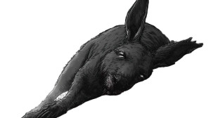 Giant Dead Kangaroo Vinyl Car Decal Sticker – Waterproof & UV-Resistant 8"