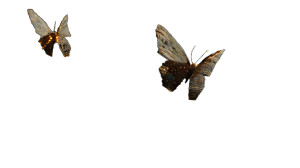 Digital Financial Butterflies Vinyl Car Decal Sticker – Waterproof & UV-Resistant 8"