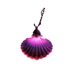 Shell Amulet Vinyl Car Decal Sticker – Waterproof & UV-Resistant 8"