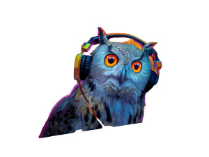 Techno Owl Rave Vinyl Car Decal Sticker – Waterproof & UV-Resistant 8" Techno Owl Rave Vinyl Car Decal Sticker – Waterproof & UV-Resistant 8"