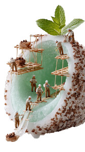 Chocolate Mint Ant Colony Vinyl Car Decal Sticker – Waterproof & UV-Resistant 8"