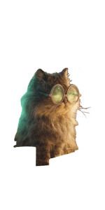 Grumpy Coding Cat Vinyl Car Decal Sticker – Waterproof & UV-Resistant 8"