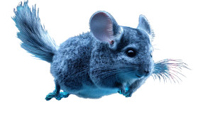 Cyberpunk Chinchilla Vinyl Car Decal Sticker – Waterproof & UV-Resistant 8"