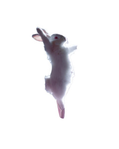 Ballet Rabbit En Pointe Vinyl Car Decal Sticker – Waterproof & UV-Resistant 8"