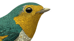 Amazing Bird Vinyl Car Decal Sticker – Waterproof & UV-Resistant 8"