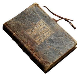 Old Study Book Vinyl Car Decal Sticker – Waterproof & UV-Resistant 8"