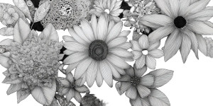 Zentangle Flowers Vinyl Car Decal Sticker – Waterproof & UV-Resistant 8" Zentangle Flowers Vinyl Car Decal Sticker – Waterproof & UV-Resistant 8"