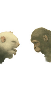 Wood Snake Harmony Vinyl Car Decal Sticker – Waterproof & UV-Resistant 8"